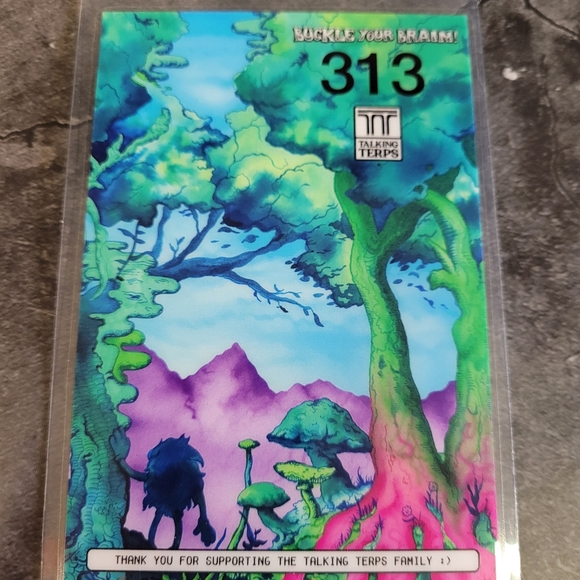 NWT Talking Terps Limited Edition Tee Number 313 Of 420 OG Logo V.7 Size L - Picture 9 of 11